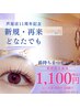 【11周年企画】【期間限定】【新規・再来OK】まつ毛パーマ¥5,500→¥1,100