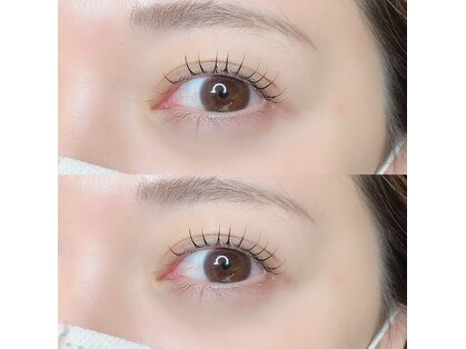 ロッコアイ(Rocco eye)の写真