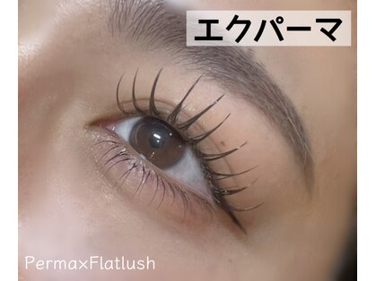 ステラマリス 今福鶴見店(StellaMaris)の写真