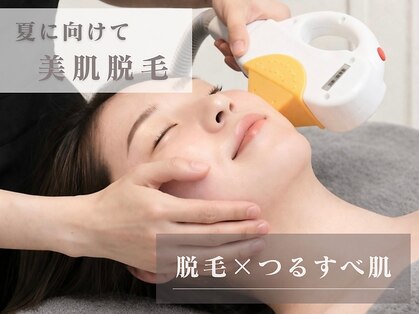 エナ(ENA)の写真