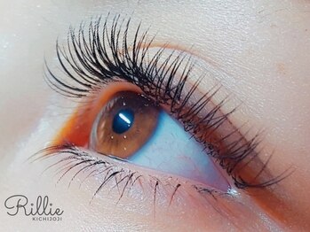 リリー 吉祥寺(Rillie)/‥エアーセーブルラッシュ上下‥