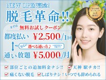 プレデト 天神店(PreDeto)