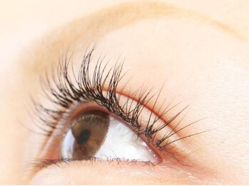 ブラウ(BLAU)/高技術＆セーブルより高品質