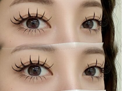 アンジェリークアイラッシュ(Angelique Eye Lash)の写真