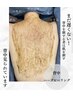 ボディ【 ハーブピーリング(剥離なし)◎背中 】背中美人へ※お得な回数券あり