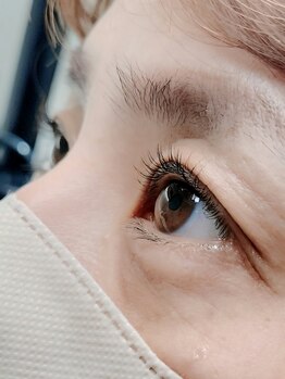 ティディーネスト(Tidynest)/まつげパーマ