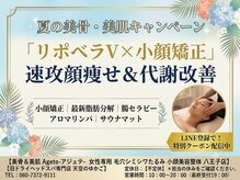 アジェテ 八王子店(Agete)
