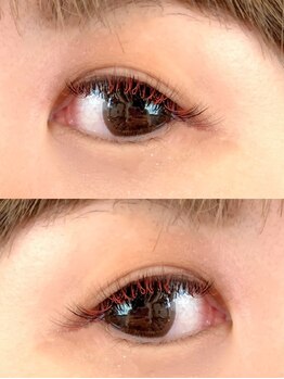 アンの家/春は鮮やかカシスカラー★