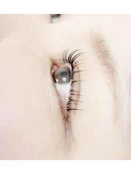 ノア(Noah)/まつ毛パーマ