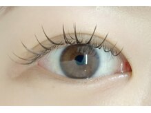 ケーズラッシュ(K's LASH)/フラットラッシュ 