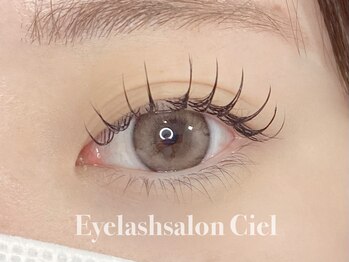 シエル(Ciel)/フラットラッシュ100本