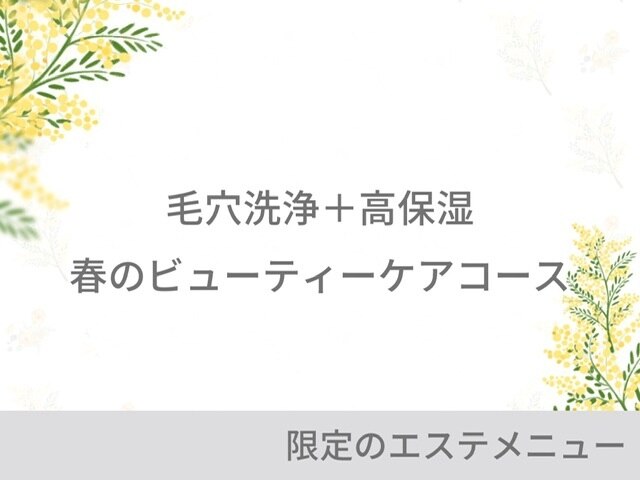 【4月限定】毛穴洗浄＋高保湿 春のビューティーケアコース