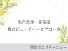 【2・3月限定】毛穴洗浄＋高保湿 春のビューティーケアコース