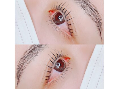 ロッコアイ(Rocco eye)の写真