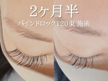 ヤーン(YARN)/バインドロック120*