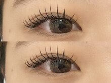 エルドット 八尾店(L.)/フラットラッシュ150本