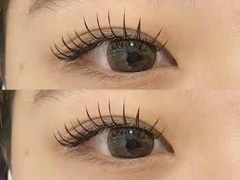 エルドット 八尾店(L.)/フラットラッシュ150本