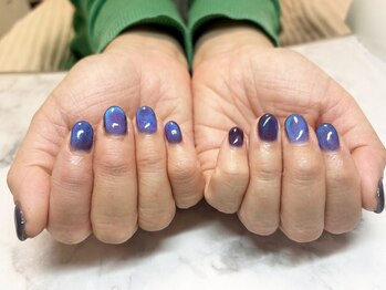 エスディーネイルズ(sd nails)/微粒子の水光マグネット
