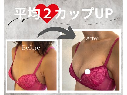 フェリス(Feliz)の写真