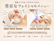 ザ サロン ステラ 五反田(THE SALON stella)の雰囲気(つるんと輝く透明美肌へ!他メニューと同時施術可能◎)