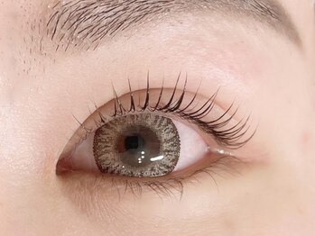 プリジュール(Pljoul)/上まつげパーマ