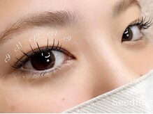 シードリン(Seedling)/LEDマツエク×まつげパーマ