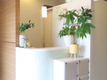 シェルシア(Cielcia)/受付