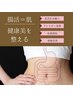 「腸もみ」腸内環境を整え、血流促進で健康への第一歩☆40分6,980円