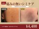 ノーファンデの樹 健康の丘の写真