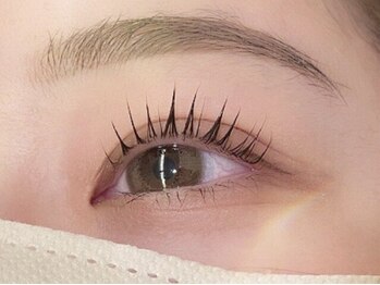 ベル 成増店(bel)/まつパ/ケラチンラッシュリフト