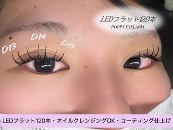 ポピー 川崎本店(POPPY)/LEDフラット120本