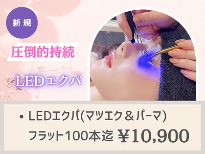 ロロ 松江店(LoLo)の写真