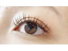 ペルシャ(Persian)/フラットラッシュ【若葉/坂戸]