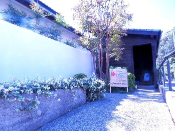 パーム(palm)/サロンはリブ大塚ではありません