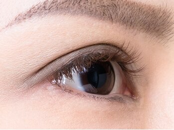 シャルマン(Charmant)/カーキブラウン☆140本5700円