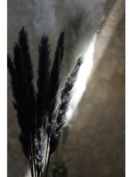 リフレクション(reflection)/