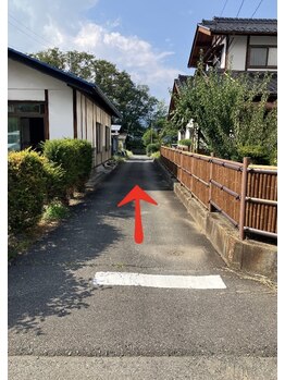 クロモジ(kuromoji)/直進して頂き