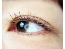 カシェ(cache)/秋カラーデザイン