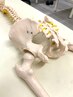 【2回目以降★産後骨盤矯正コース】　状態確認＋整体施術　8800円
