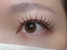 フリー#240(Free#240)/フラットラッシュ140本