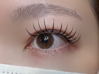 フリー#240(Free#240)/フラットラッシュ140本