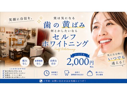 シロクマ(siroQMa)の写真
