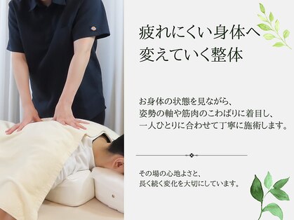 ソイ(Soi)の写真