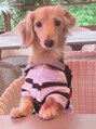 ネイルアンドまつ毛エクステ ルーナ イオン相模原店&nbsp;愛犬♪