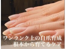 根本から爪を健康に育て、自信のある手元に導きます！！