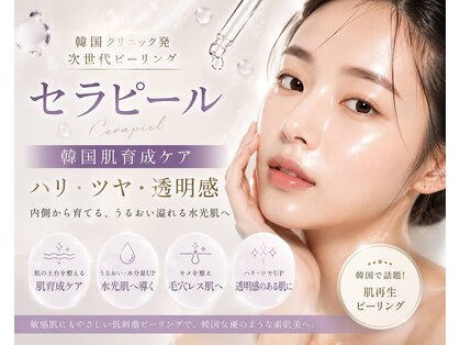 ファミリータイズカンパニーガデス(Family Ties Co. Goddess)の写真