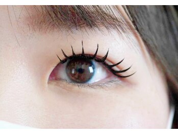 テイラー(Taylor)/エクパ×120本 SONE