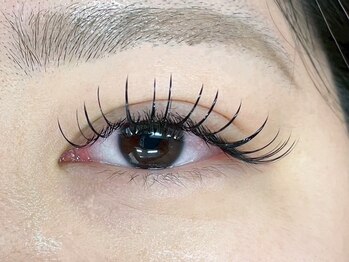 ルチア(Lucia)/フラットラッシュ180本