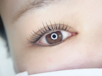 カラット 葛西店(Carat)の写真/【まつげパーマ(ケア付)¥4480】こだわりの商材と豊富なロッドでまつげを労りながら華やかな目元へ