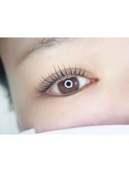 初めての方にオススメ